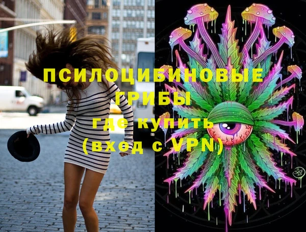 крисы Алзамай