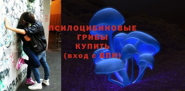 гашик Армянск