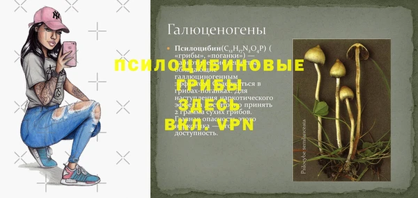 PSILOCYBIN Алексин